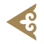 Air Astana India logo