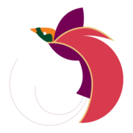 Air Niugini logo