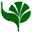 APEDA logo
