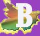 BCECE Bihar logo