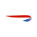 British Airways USA logo