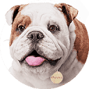 Churchill logo