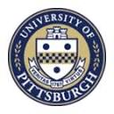 Dietrich School of Arts and Sciences logo