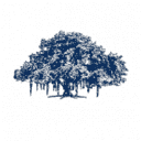 IIIT Hyderabad logo
