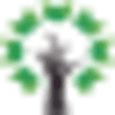 Next Education logo