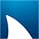 Nova Southeastern University logo