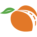 Peach Pass Georgia logo