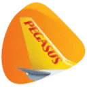 Pegasus Airlines logo