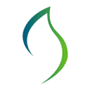 SaskEnergy Gas SK logo